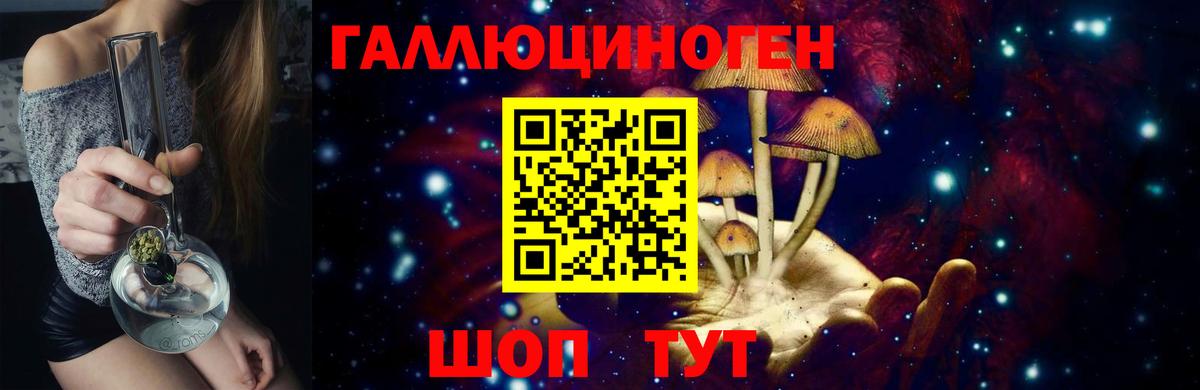 Элиста  Галлюциногенные грибы GOLDEN TEACHER  Вход с VPN 